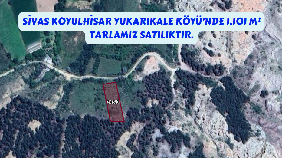 SİVAS KOYULHİSAR YUKARIKALE  KÖYÜNDE  1.101  M² TARLA  SATILIKTIR - SİVAS KOYULHİSAR fotoğraf 7